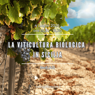 4 Luglio 2026 | La Viticoltura Biologica in Sicilia | Menfi (AG)