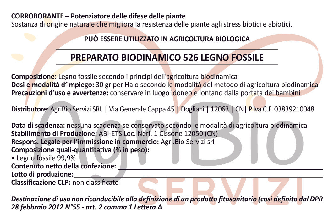 526 CORNO LEGNO FOSSILE