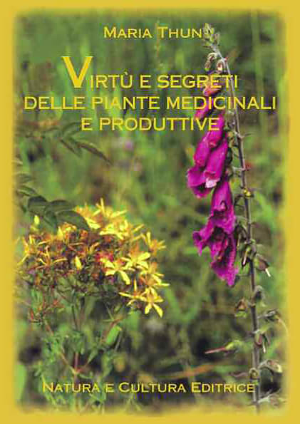 Observation, experiment, mathematics - Rudolf Steiner