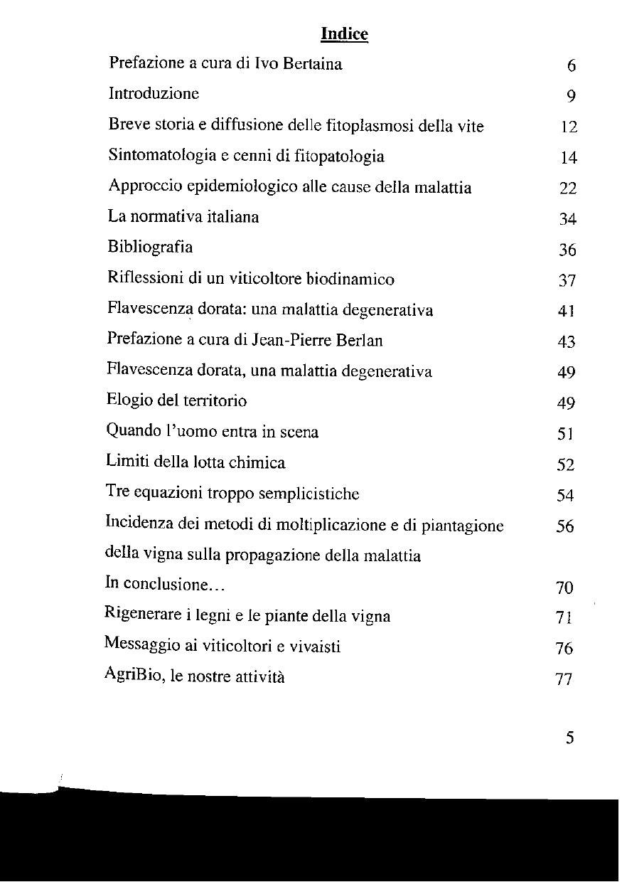 FLAVESCENZA DORATA - GUY KASTLER, CRISTINA MARELLO, STEFANO BELLOTTI