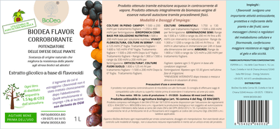 BIODEA FLAVOR