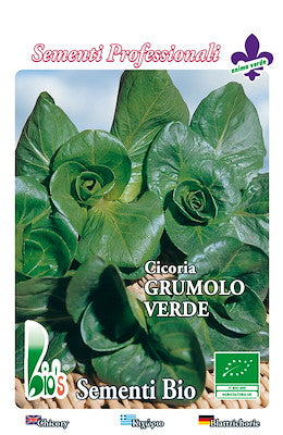DARK GREEN GRUMOLO CHICORY - 1818