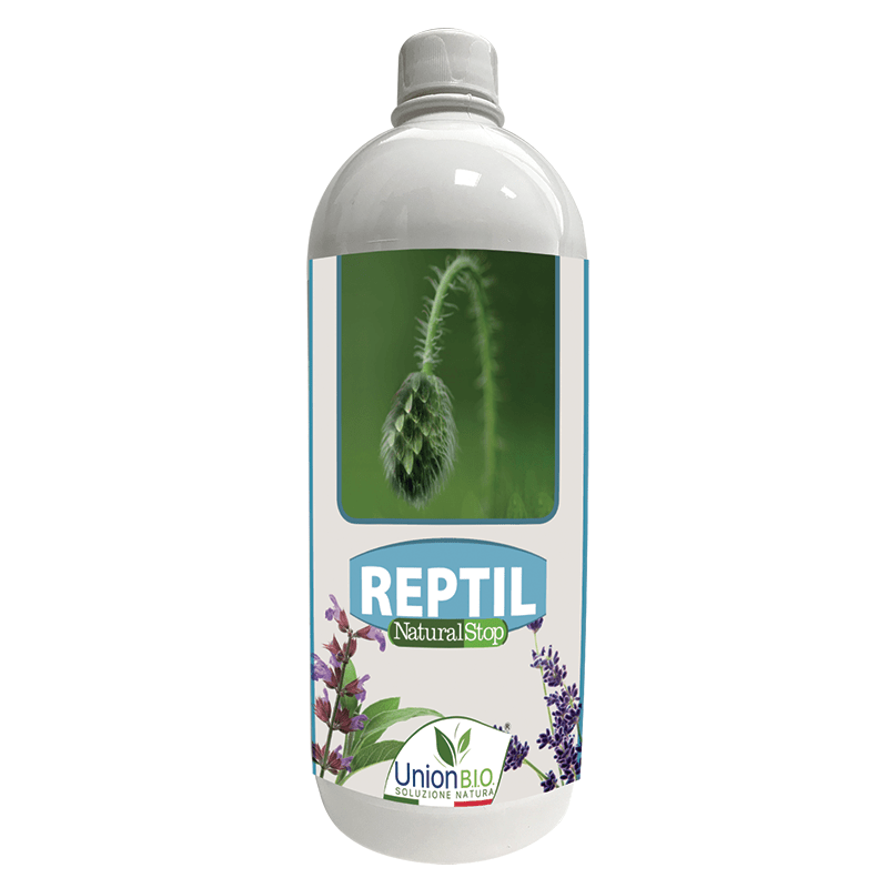 REPTIL NATURAL STOP - Serpenti e lucertole