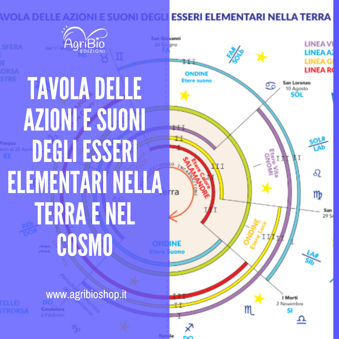 TAVOLA DELLE AZIONI E SUONI DEGLI ESSERI ELEMENTARI NELLA TERRA E NEL COSMO - Ivo Bertaina