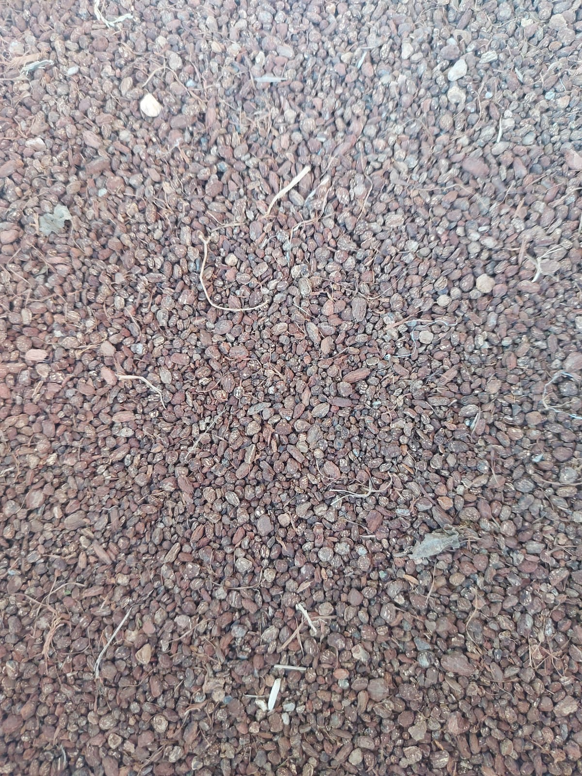 FARINA DI CORTECCIA DI QUERCIA