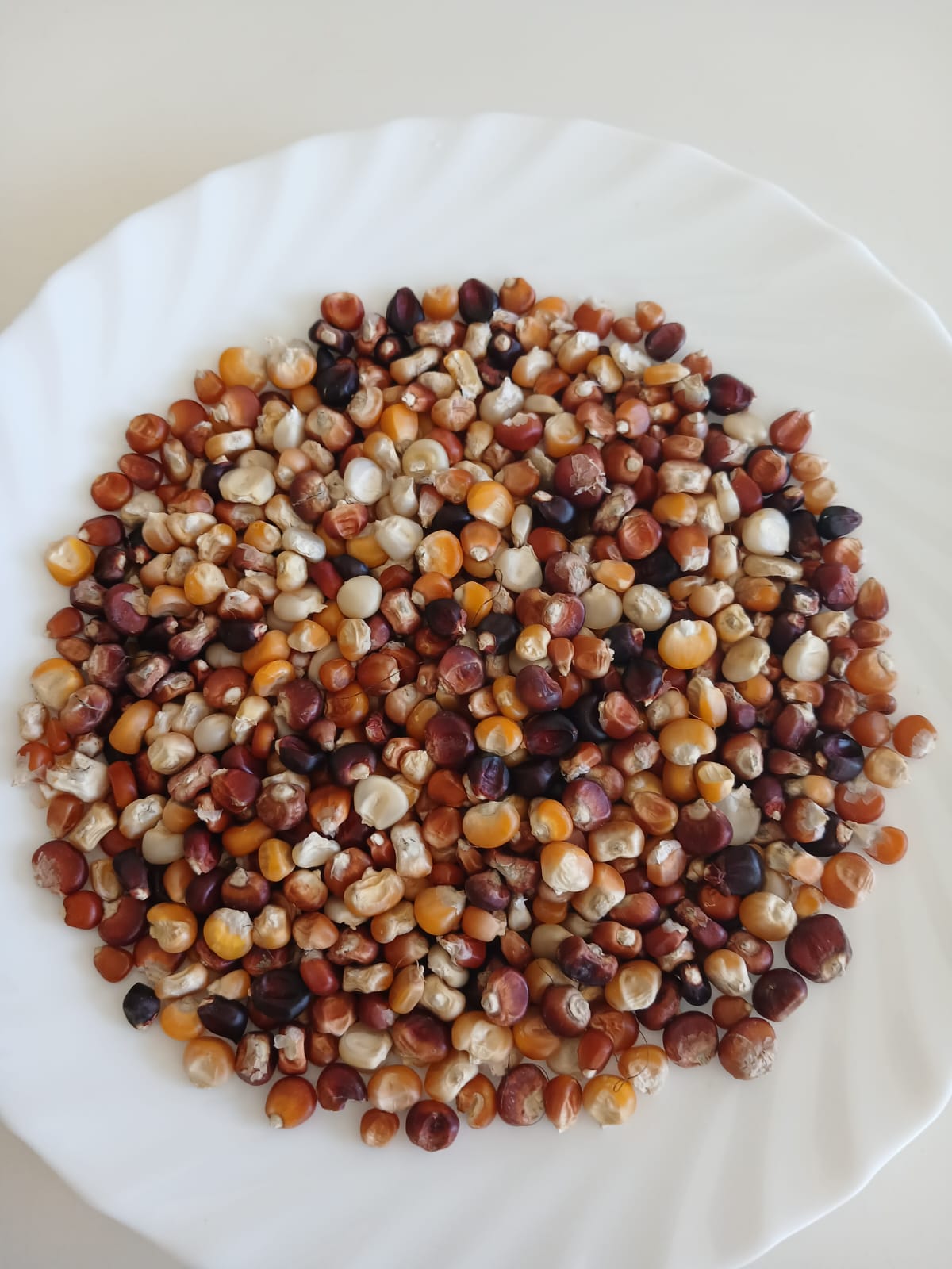 CORN MIXTURE OF OLD VARIETIES