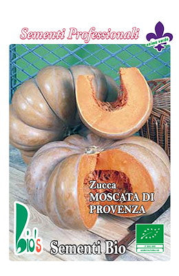 ZUCCA MOSCATA DI PROVENZA - 4470