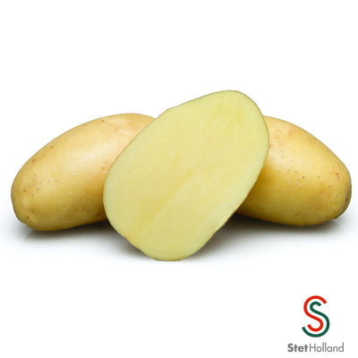 PATATA ALMONDE 28/45 DA AGRICOLTURA BIOLOGICA ORIGINE ITALIA SACCO DA 25 KG