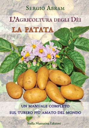 L'AGRICOLTURA DEGLI DEI - LA PATATA