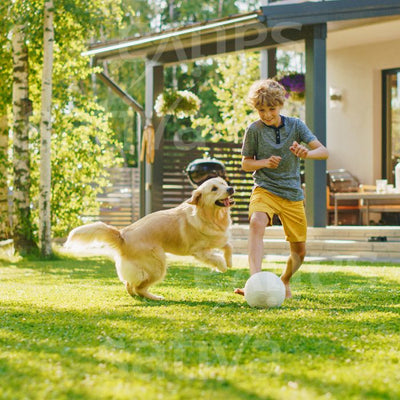 Prato per giardino e giochi - Semi per prato - gr60