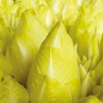 INDIVIA KS-SW-ZS-01 - SATIVA zs11