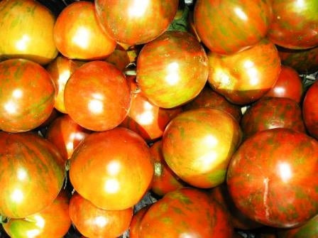 60 Semi Di Pomodoro Verde Zebrato – Coltivazione Facile, Ideali Per Orto E Vaso