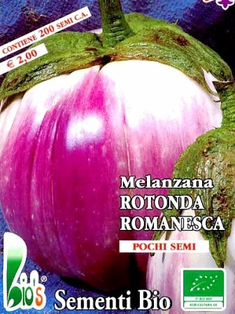 MELANZANA BIANCA SFUMATA DI VIOLA ROMANESCA - BIOSEME 2805