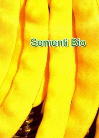 FAGIOLO RAMPICANTE MANGIATUTTO MERAVIGLIA DI VENEZIA - BIOSEME 2315