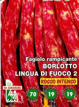FAGIOLO RAMPICANTE DA SGRANARE BORLOTTO LINGUA DI FUOCO - BIOSEME 2312