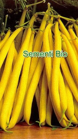 FAGIOLO NANO MANGIATUTTO GIALLO DORE' - BIOSEME 2392