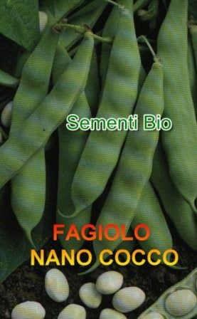 FAGIOLO NANO DA SGRANARE COCCO - BIOSEME 2385