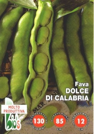 FAVA GROSSA DOLCE DI CALABRIA - BIOSEME 2401