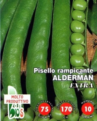 PISELLO RAMPICANTE ALDERMAN - BIOSEME 3102