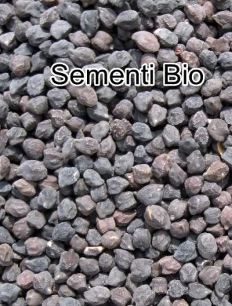 CECE NERO - BIOSEME 1602