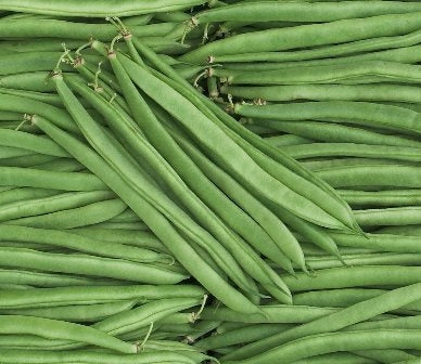 FAGIOLI NANI MARONA - SATIVA bo23