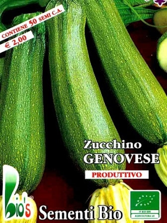 ZUCCHINO GENOVESE - BIOSEME 4378