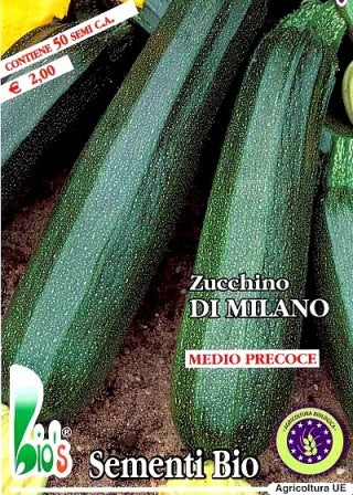 ZUCCHINO SCURO DI MILANO - BIOSEME 4379