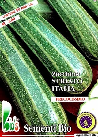 ZUCCHINO STRIATO ITALIA - BIOSEME 4380