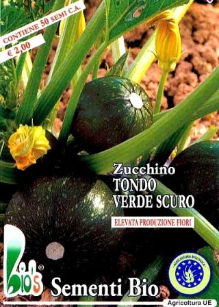 ZUCCHINO TONDO VERDE SCURO PIACENTINO - BIOSEME 4381
