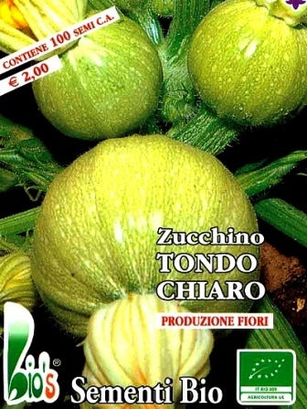 ZUCCHINO TONDO VERDE CHIARO DI NIZZA - BIOSEME 4382