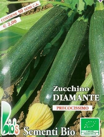 ZUCCHINO DIAMANTE - BIOSEME 4303