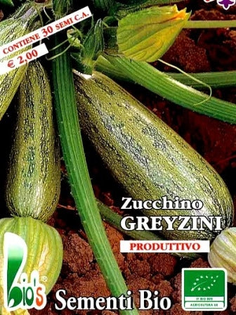 ZUCCHINO GREIZINI - BIOSEME 4305