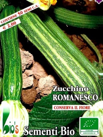 ZUCCHINO ROMANESCO - BIOSEME 4386