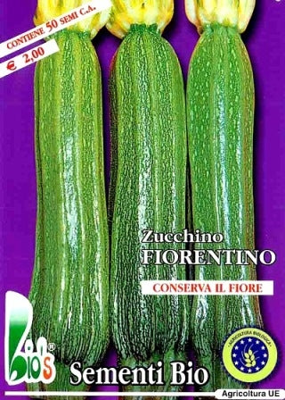 ZUCCHINO DI FIRENZE - BIOSEME 4385