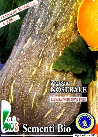 ZUCCA NOSTRALE - VIOLINA LISCIA - BIOSEME 4485