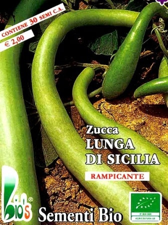 ZUCCA LUNGA DI SICILIA - BIOSEME 4487