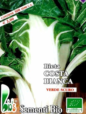 BIETA VERDE COSTA LARGA BIANCA - BIOSEME 0601