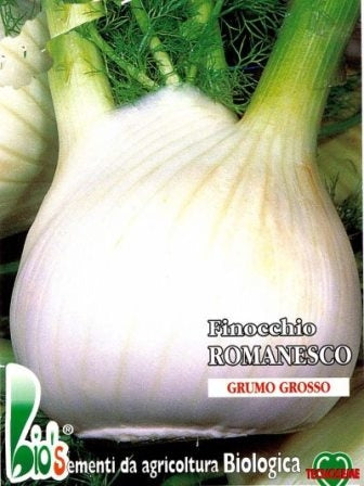 FINOCCHIO ROMANESCO - BIOSEME 2504
