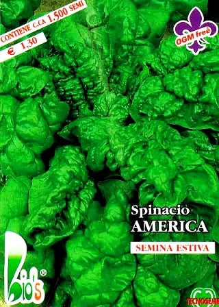 SPINACIO AMERICA TARDIVO - BIOSEME 4164