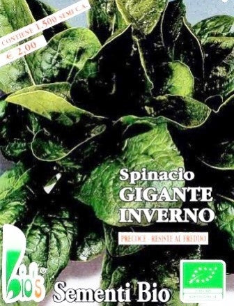 SPINACIO GIGANTE D'INVERNO - BIOSEME 4165