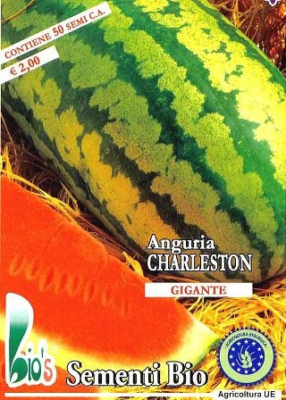 ANGURIA CHARLESTON GRAY - BIOSEME 0201