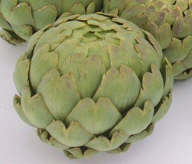 CARCIOFO IMPERIAL STAR - SATIVA ar10