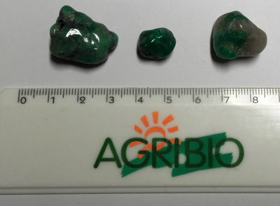 SMERALDO grezzo