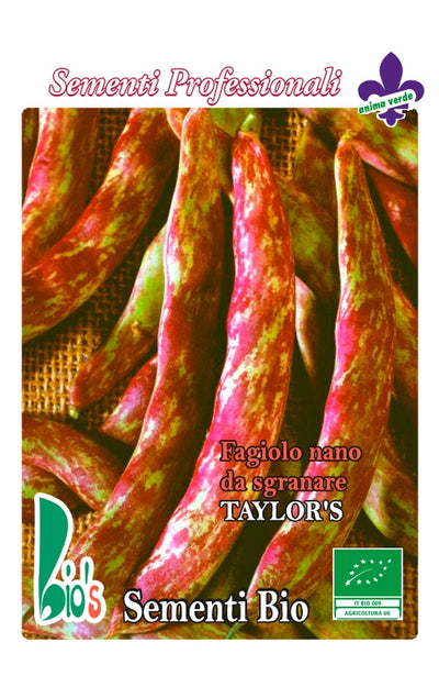 FAGIOLO NANO DA SGRANARE BORLOTTO TAYLOR'S - BIOSEME 2373