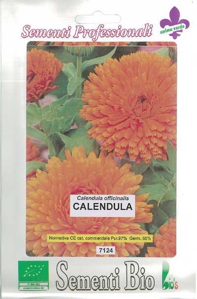 CALENDULA SEMI