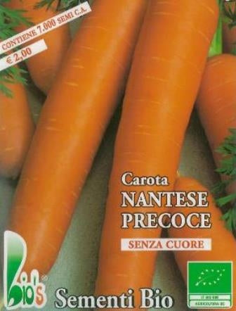 CAROTA NANTESE PRECOCE - BIOSEME 1004