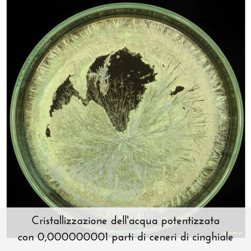 Dissuasore BioDinamico per il Cinghiale - 1 lt