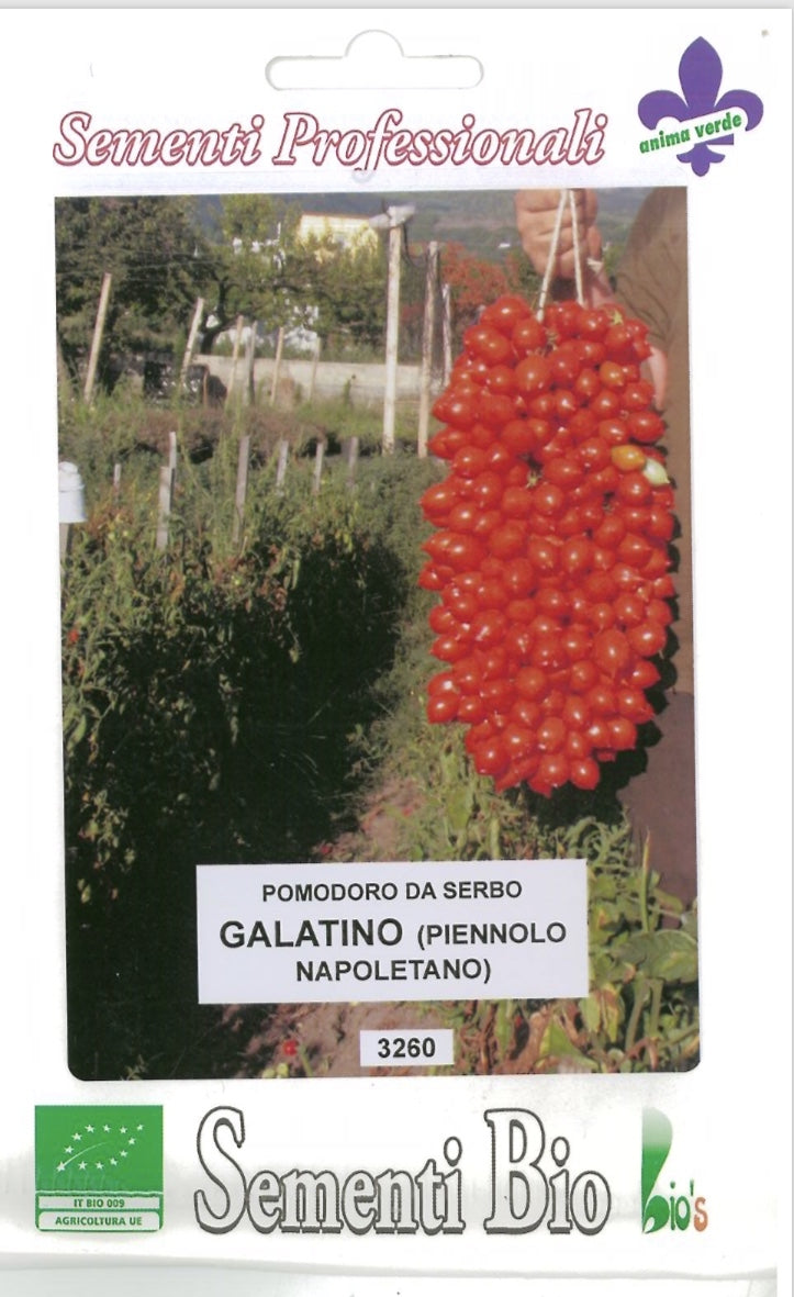 POMODORO PIENNOLO NAPOLETANO - BIOSEME 3260