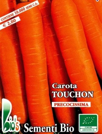 CAROTA TOUCHON PRECOCISSIMA - BIOSEME 1005