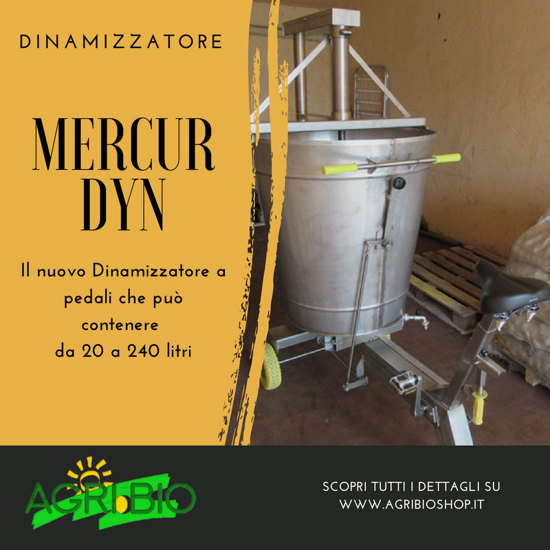 MERCUR DYN